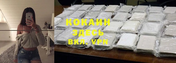 прущие грибы Абинск