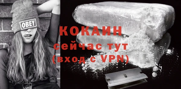 прущие грибы Абинск