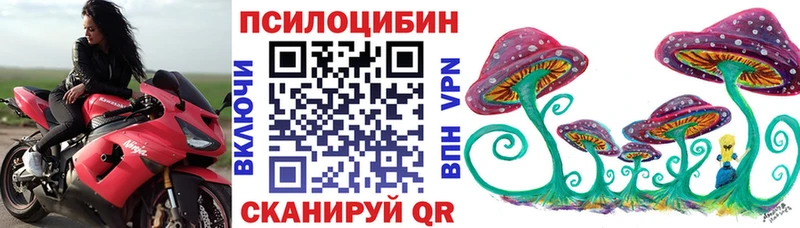 Галлюциногенные грибы Psilocybine cubensis Суджа